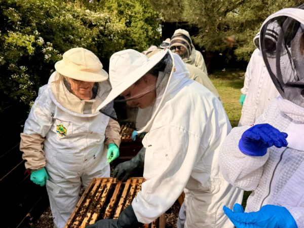 Introduction to Beekeeping Course